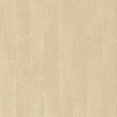 Brzoza 1715 BS