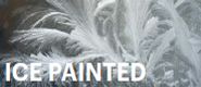 Zestaw IX: Ice painted