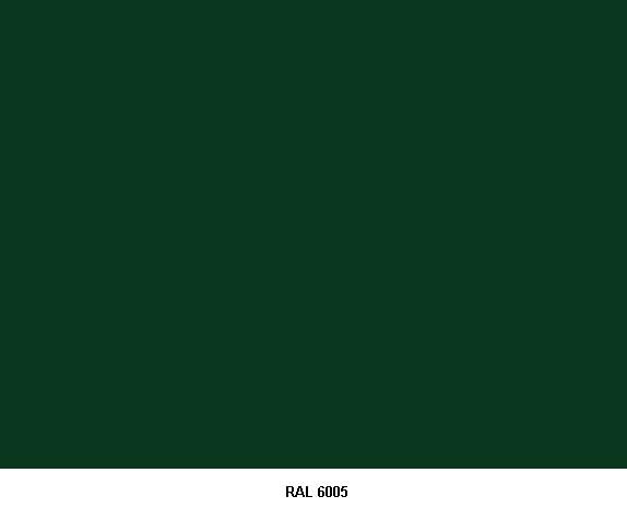 RAL 6005