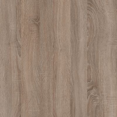 Dąb Truflowy D5194