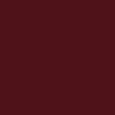 Burgundy RAL 3005