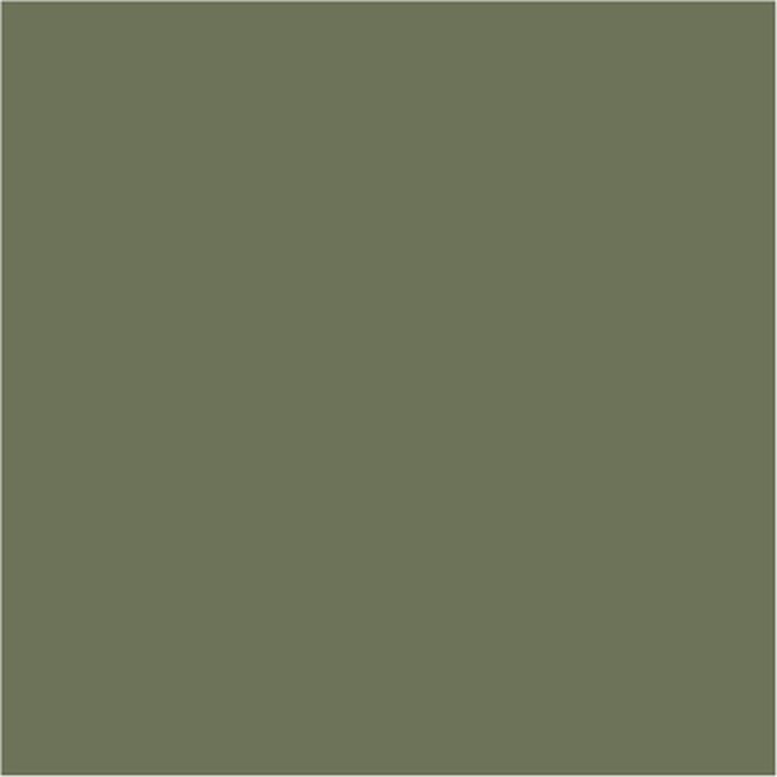 RAL 6013