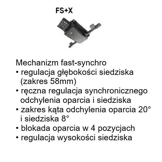 FS+X