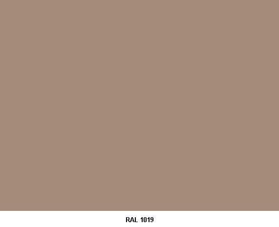 RAL 1019