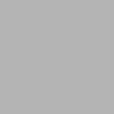 RAL 9006 - aluminium