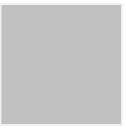 Aluminium RAL9006