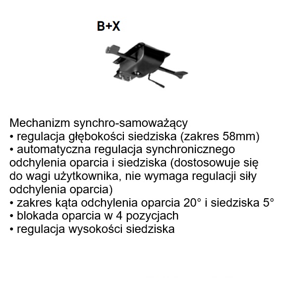 B+X
