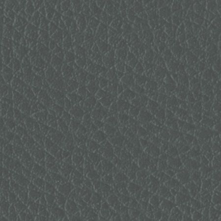 V02N