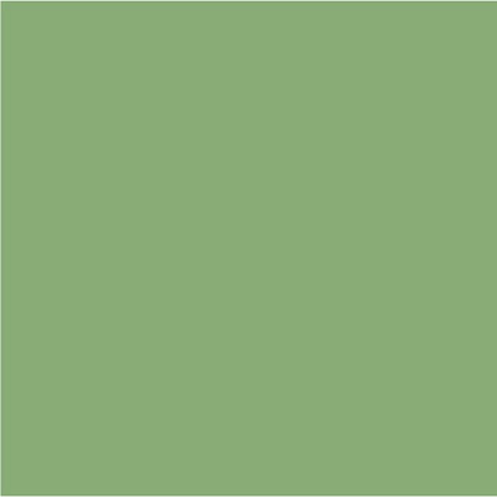 RAL 6021