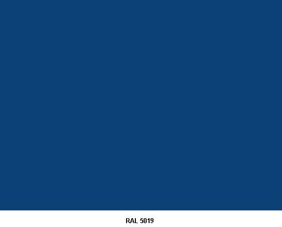RAL 5019