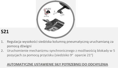 S21 mechanizm