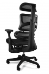  Fotel Obrotowy Ergothrone z podnóżkiem/czarny 