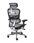 Fotel Ergohuman 2 Elite ST BS Grey