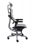 Fotel Ergohuman 2 Elite ST BS Grey