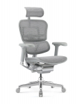 Fotel Ergohuman 2 Elite ST GS Grey