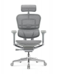 Fotel Ergohuman 2 Elite ST GS Grey