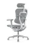 Fotel Ergohuman 2 Elite ST GS Grey