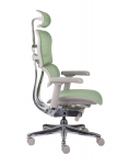 Fotel Ergohuman 2 Elite ST GS Green